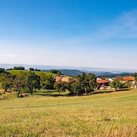 Отель Hofgut Leo Zell im Wiesenthal Экстерьер фото