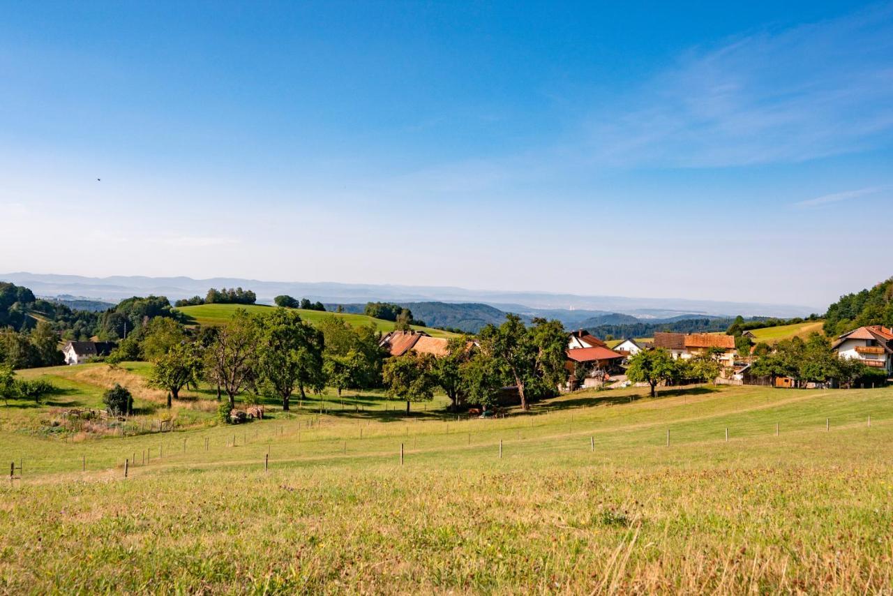 Отель Hofgut Leo Zell im Wiesenthal Экстерьер фото